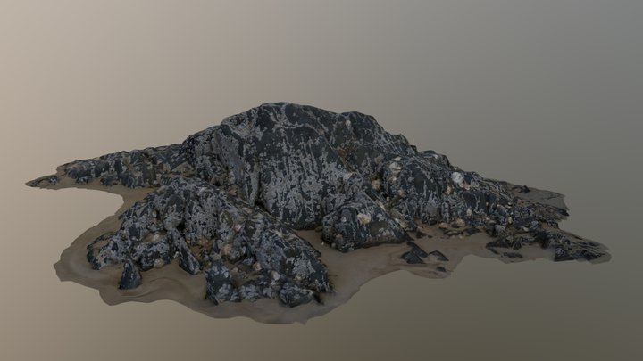 Large Beach Rock 3D Model