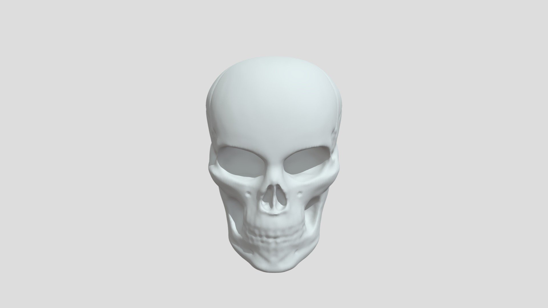 Skull