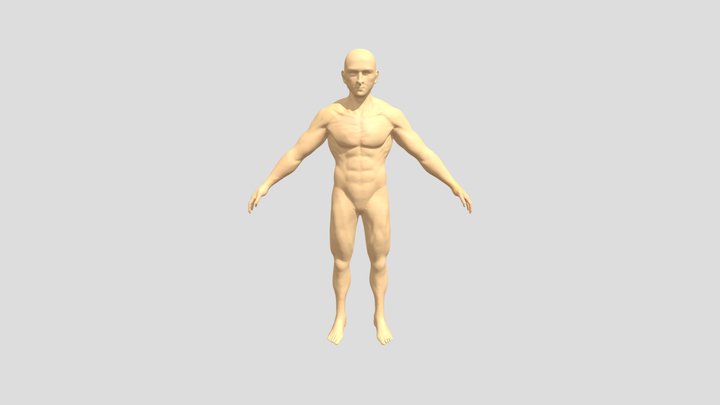 Nava Torres Bryan Sebastian 01 PIAMAP 3D Model