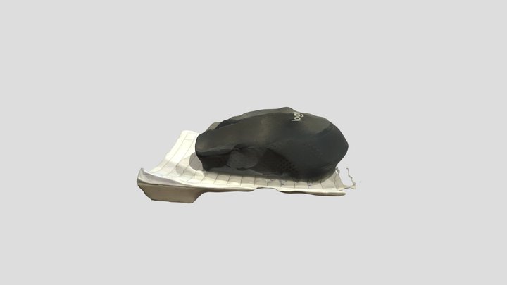 AR- Code- Object- Capture-app-1718832737 3D Model