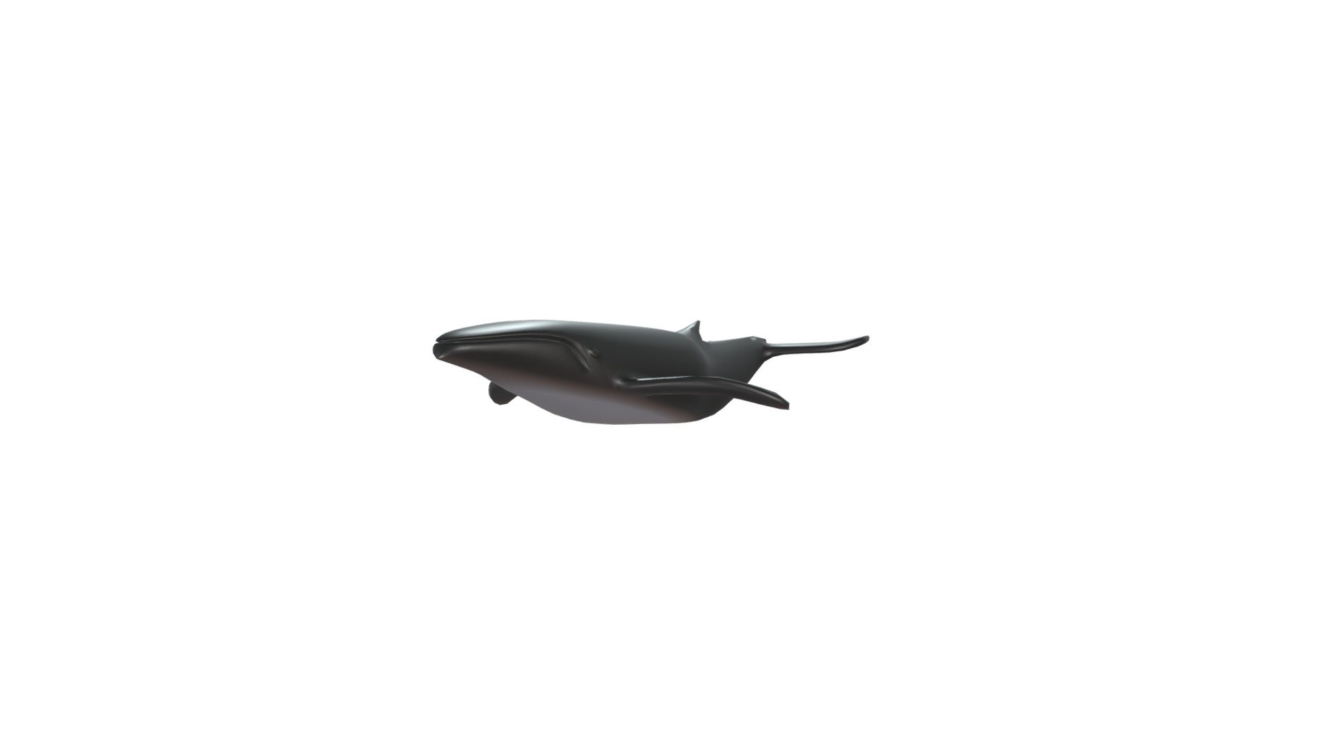 Baleia-jubarte — Sketchfab embed 3D viewer