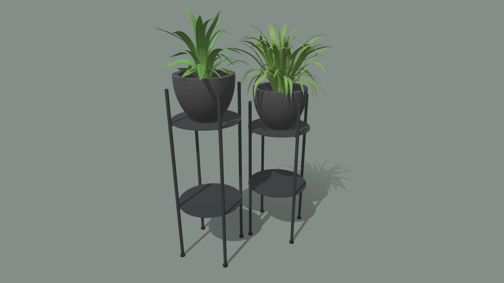 PLANTAS - 3D model by torresolorio [5ff0e43] - Sketchfab