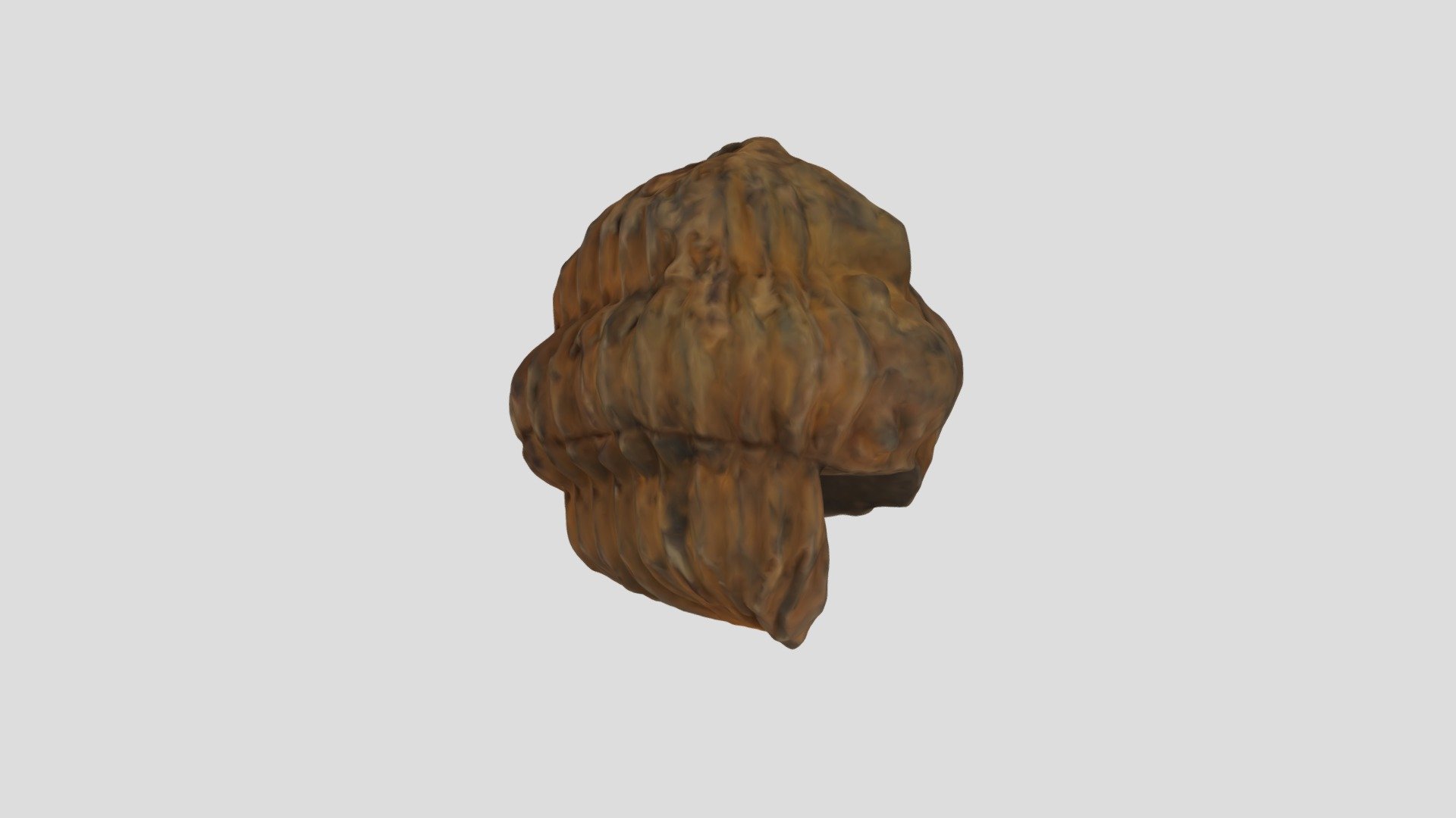 Trilobite