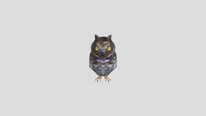 Owl 3D Model