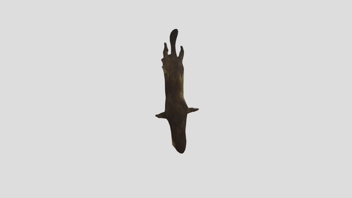 Шкурка ласки – Modelo 3D gratuito STL