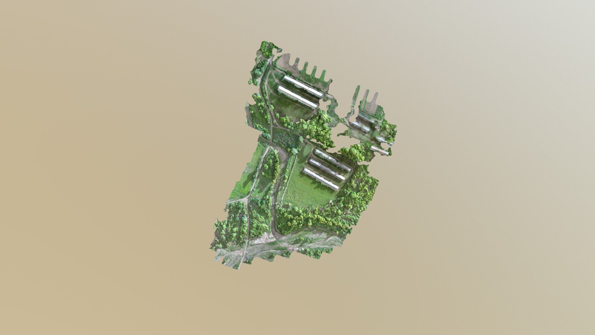 Avicola Staquiola Simplified 3d Mesh