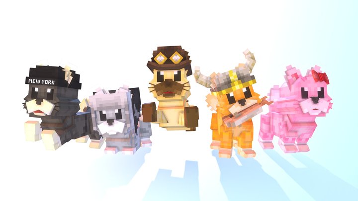 cat pet pack 3D Model