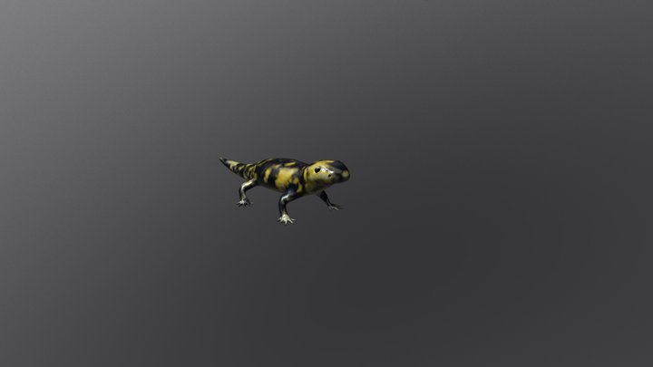 Salamander 3D Model