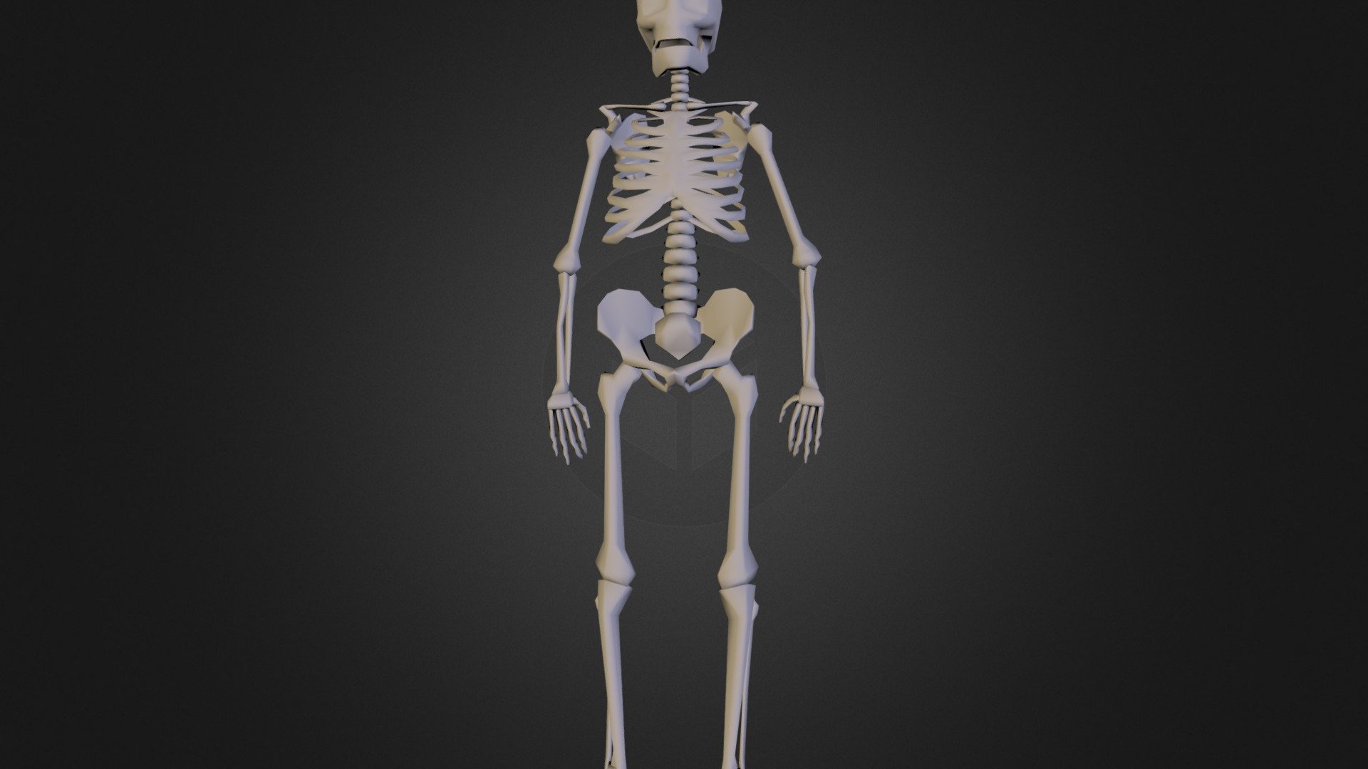 skell 2.zip - 3D model by Matt Connors (@mseydel) [5hl8gSP] - Sketchfab