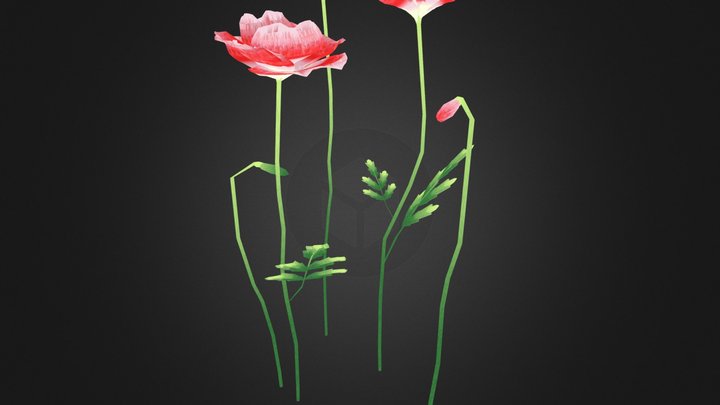 3poppy-pink.zip 3D Model