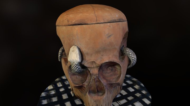 Tetemor Objt03~ 3D Model
