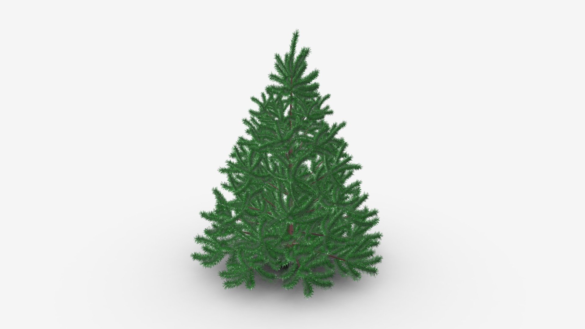 Artificial fir tree 03 Buy Royalty Free 3D model by HQ3DMOD