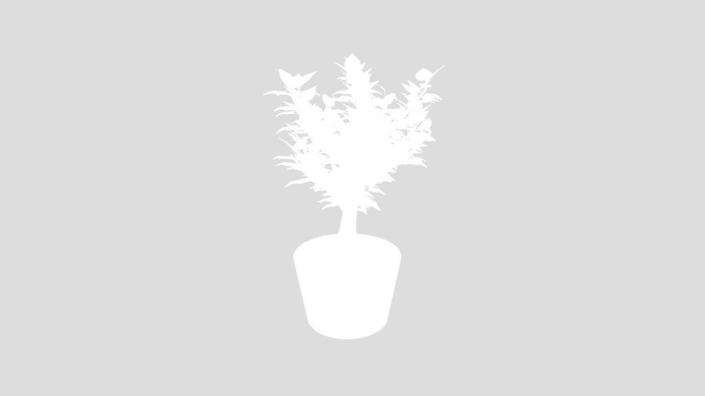 Plant In Pot