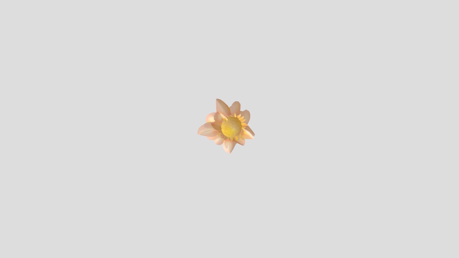 planta1_small