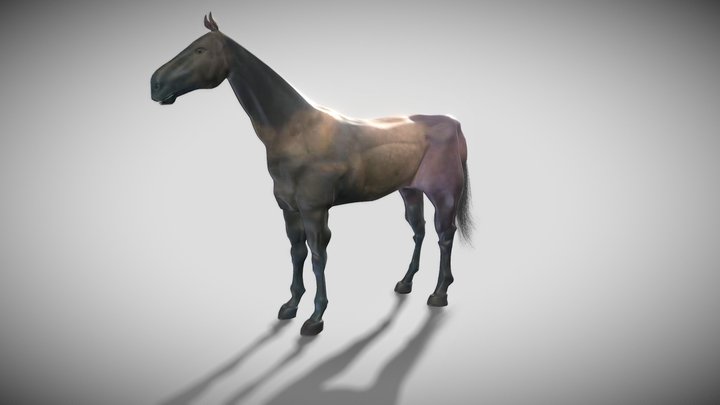 Animated Stallion 3D Model