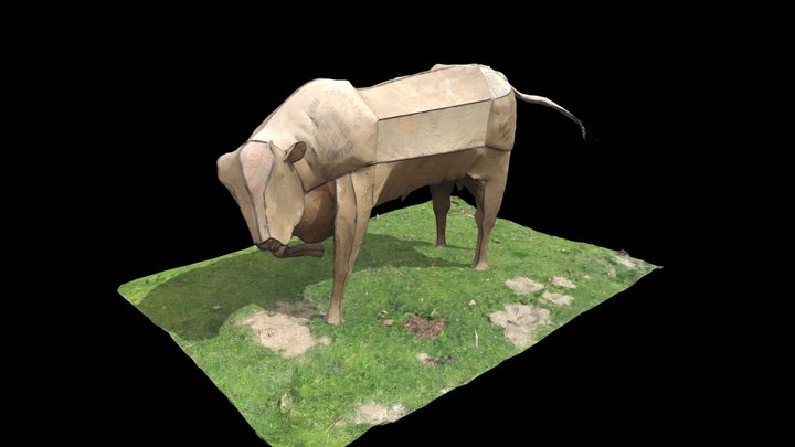 Bull (Sally Price) 3D Model