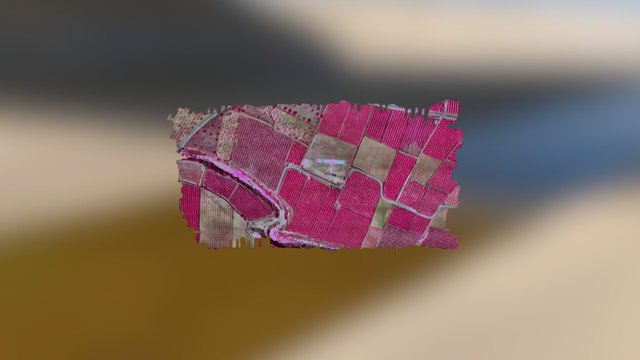 Chiva Multiespectral 3D Model