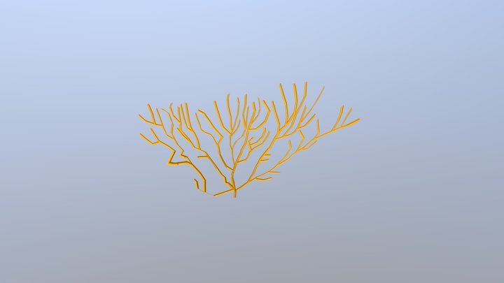 Staghorn Coral 3D Model