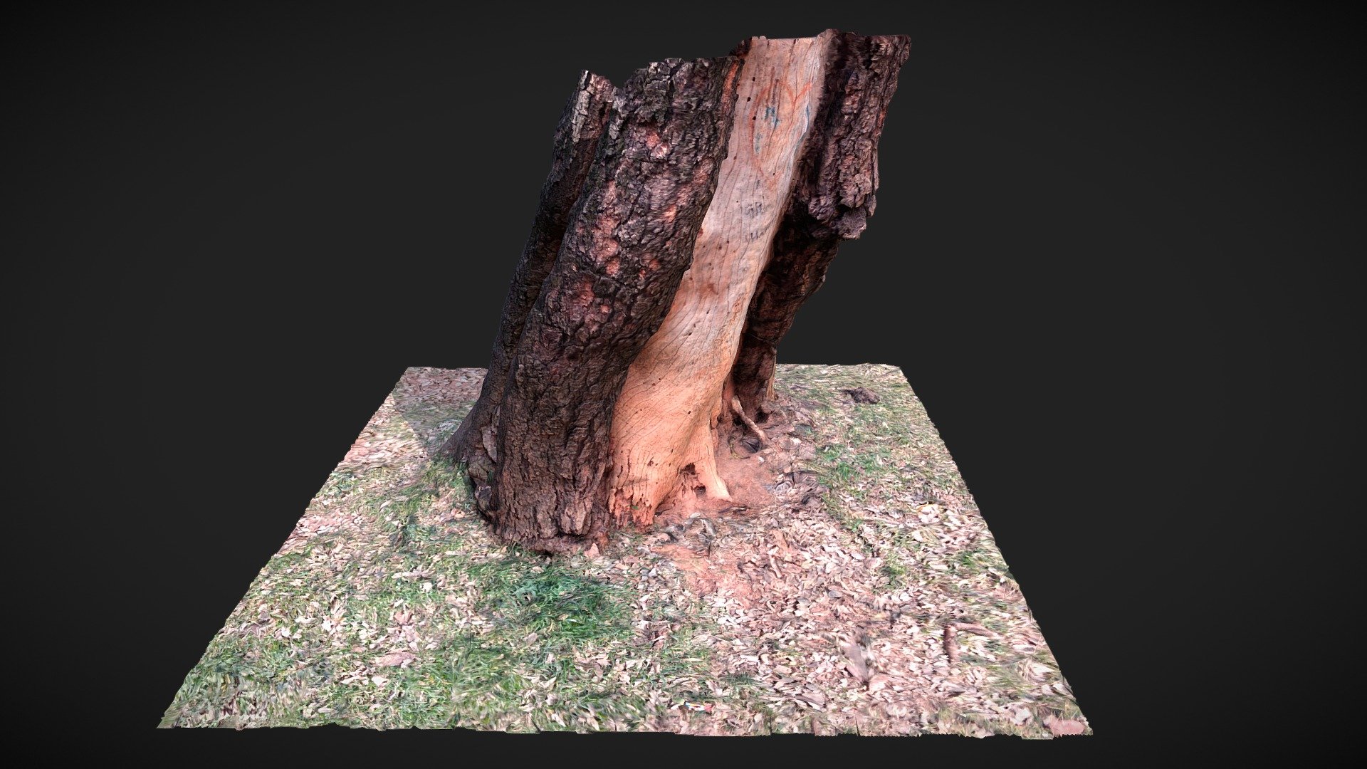 Drunken Trunk Square
