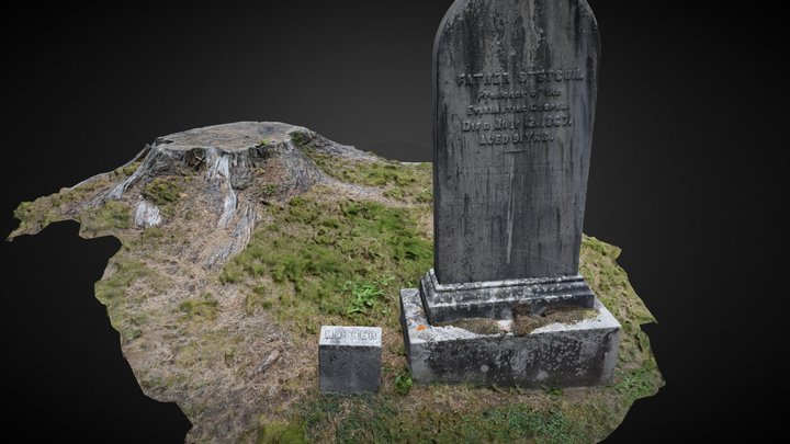 Pine Grove Cemetery - Stetson 3D Model