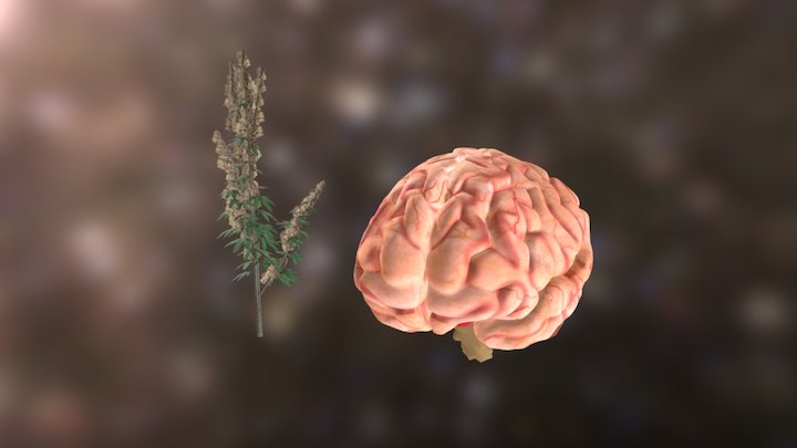 Brain Weed FBX 3D Model