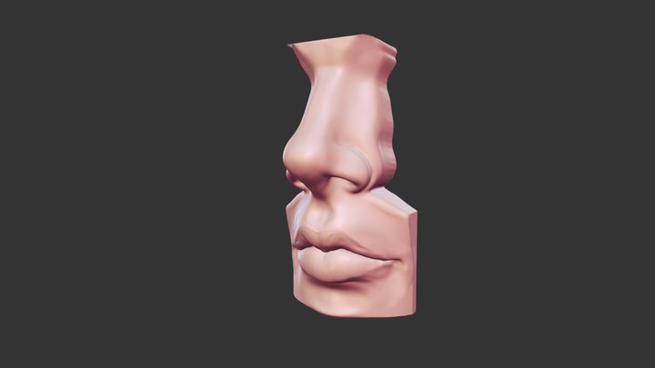 Mouth And Nose 3D Model