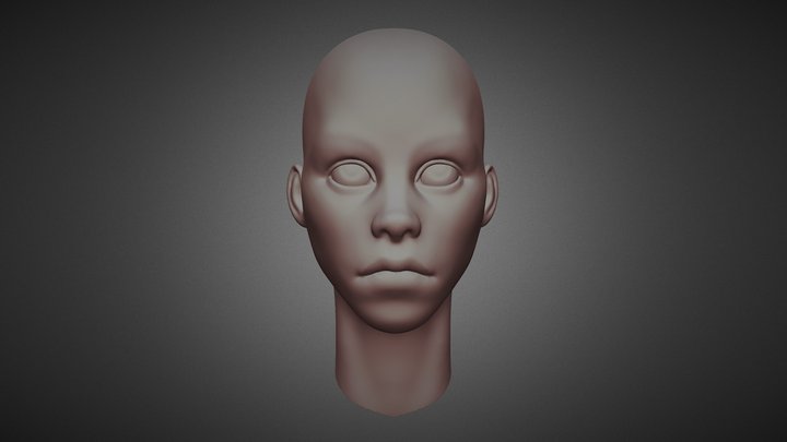 stylized woman head 3D Model