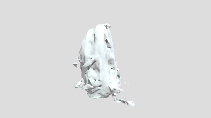 ambient occlusion bag 3D Model