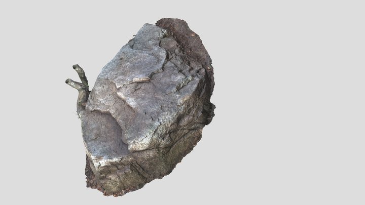 Bloc  à cupules 3D Model