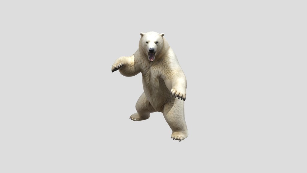 Polar Bear Roar