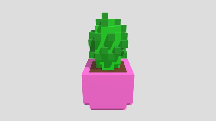 Cactus 3D Model