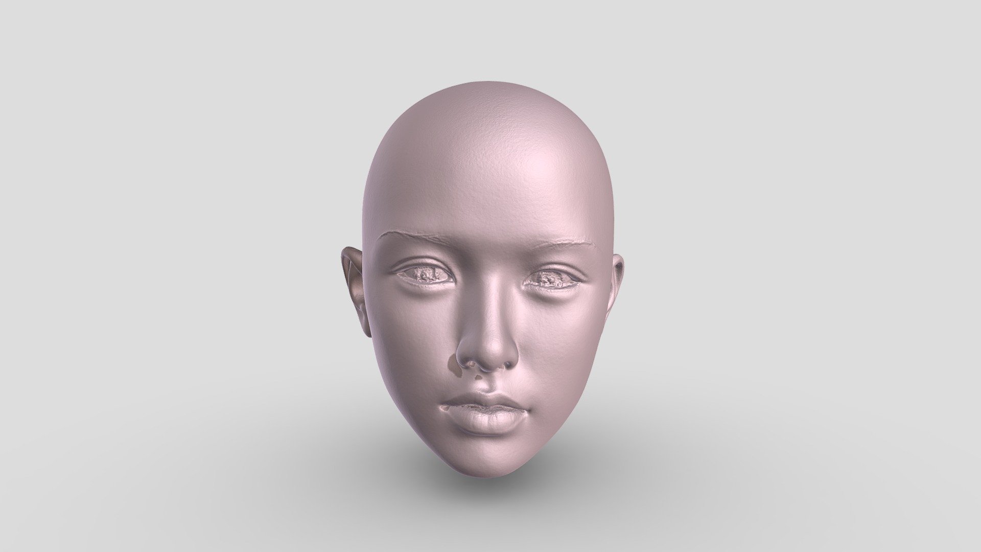 Wax Head Download Free 3D model by Diana Liu (Diana123456) [602bf42