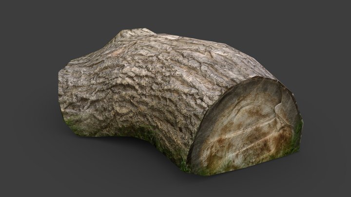 Log Megascan 3D Model