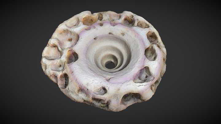 Spiral Shell - Macro Lens 3D Model