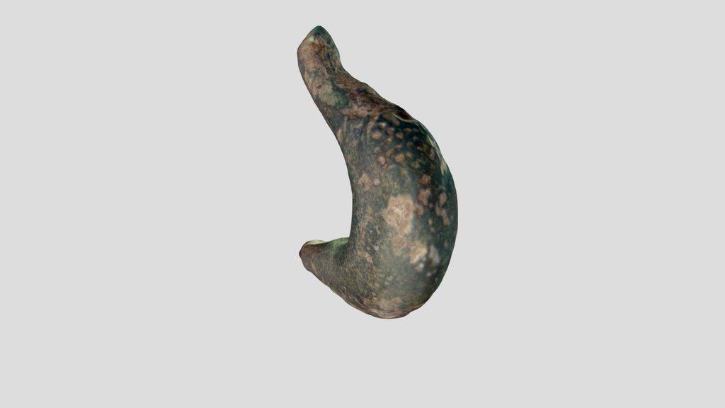 ESS-5DFF70 Iron Age Brooch