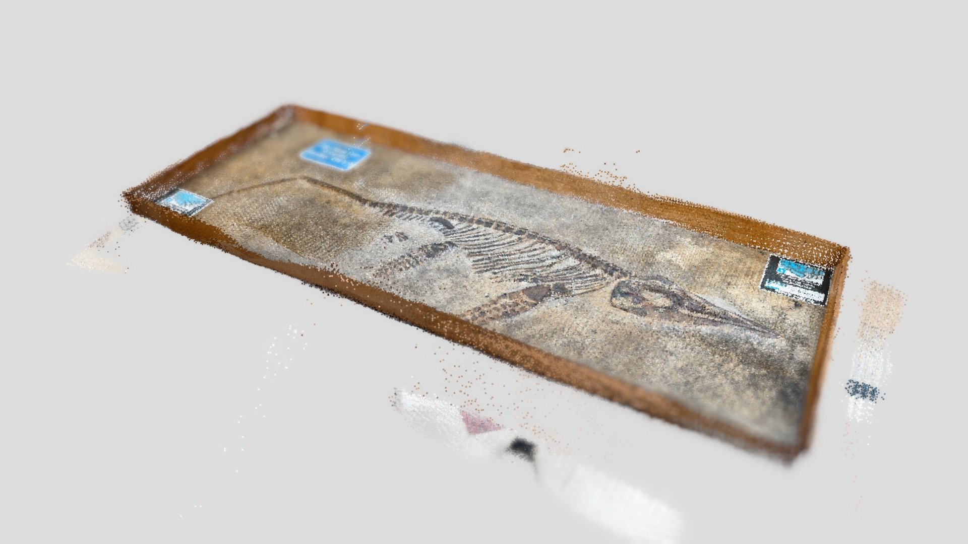 Replica fossil, Science Zone UK