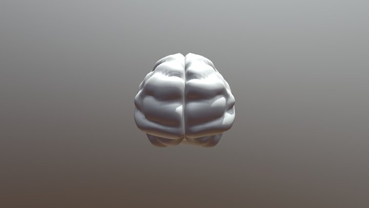 Cerveau 3D Model