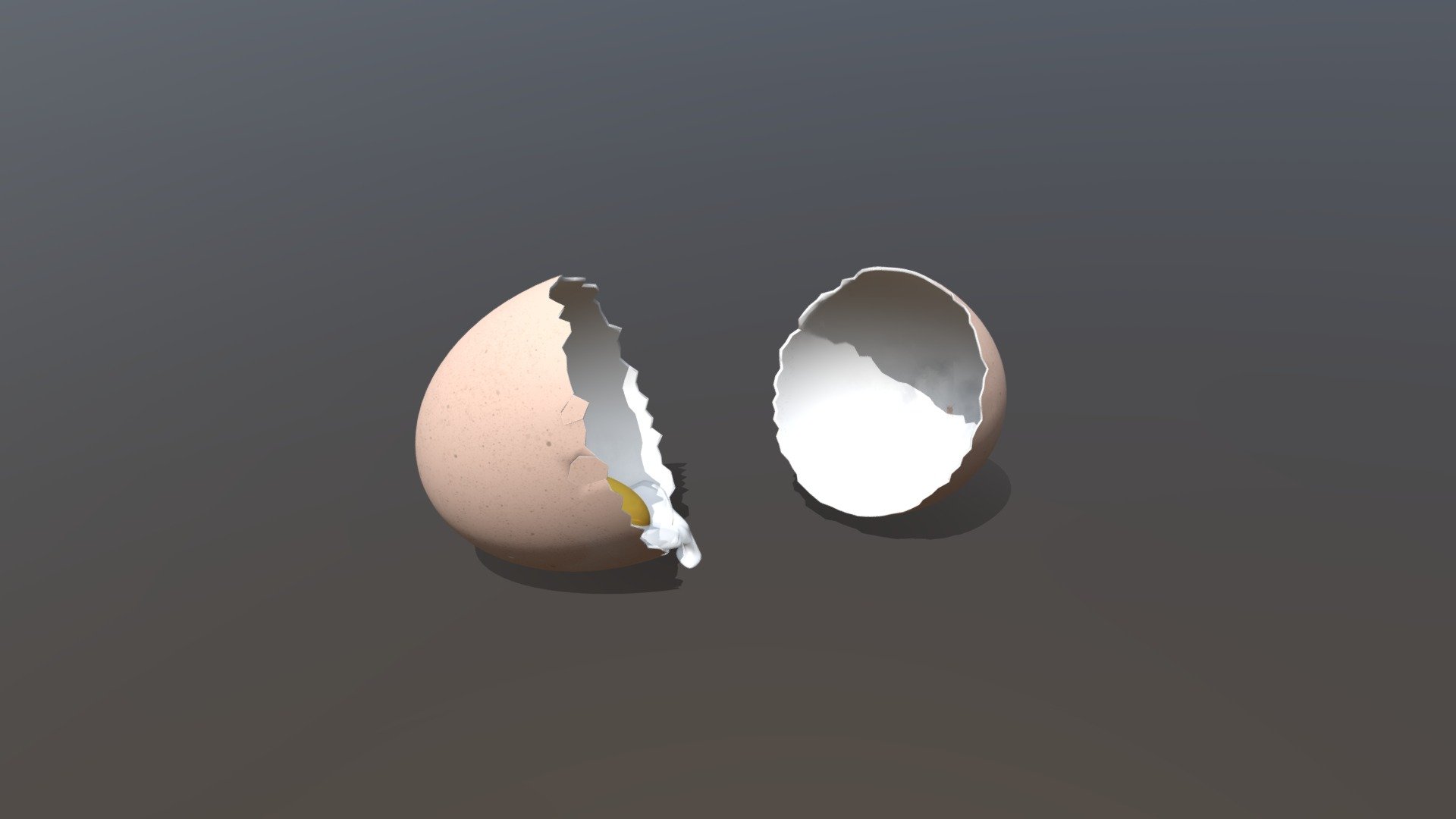 Oeuf / Egg
