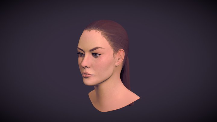 Anatomy Bust 3D Model