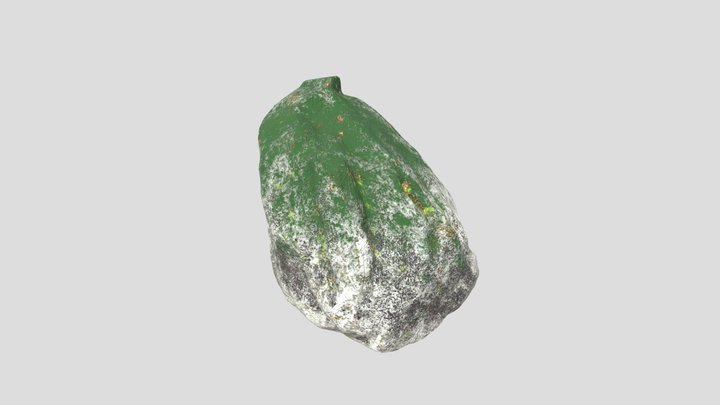 Mossy Rock 3D Model