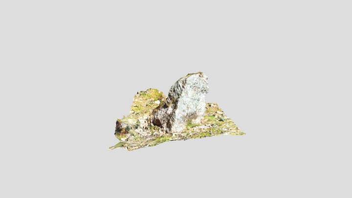 Small Rock 3D Model