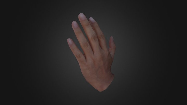 Veronica's Hand 3D Model
