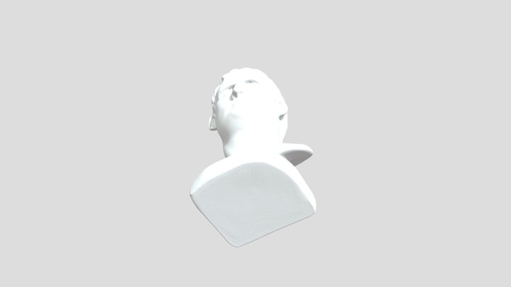 fyfe anth4997 jan14 bust
