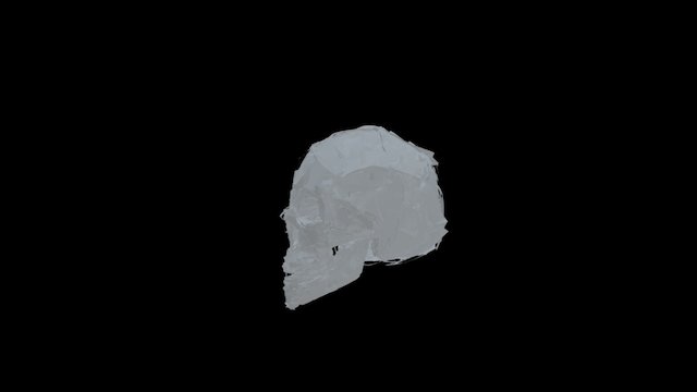 TiltBrush Skull 3D Model
