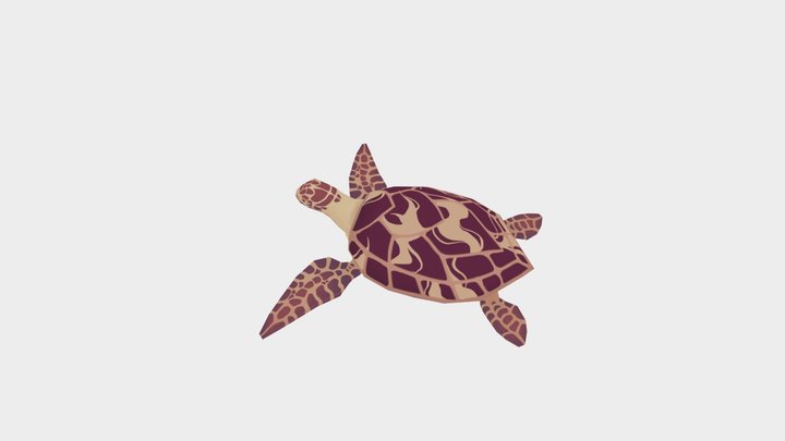 Stylised Hawksbill Turtle