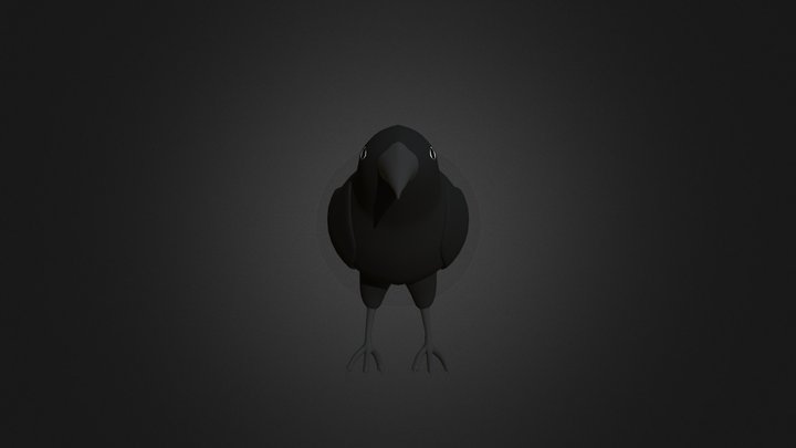 Quick Crow 3D Model