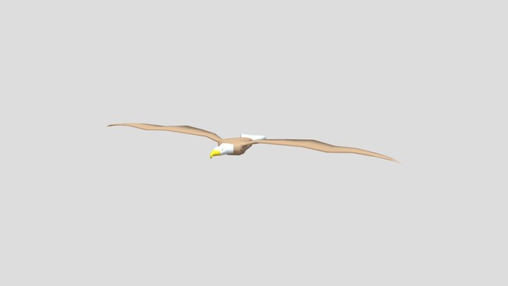 Low Poly Eagle 3D Model