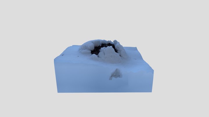 Mole hole 3D Model