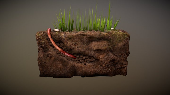 Earthworm 3D Model