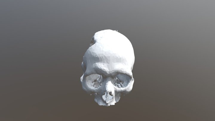 Crane statique 3D Model